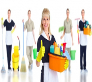 Batajnica - Potrebne radnice za generalna čišćenja